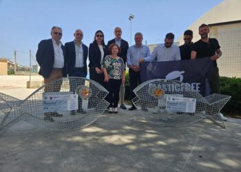 Modica, pesci mangiaplastica dinanzi alle scuole