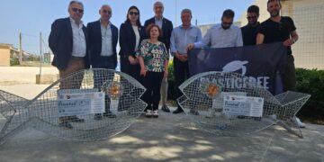 Modica, pesci mangiaplastica dinanzi alle scuole