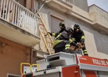 Modica Alta, i vigili del fuoco salvano un cane abbandonato su un balcone