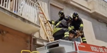 Modica Alta, i vigili del fuoco salvano un cane abbandonato su un balcone