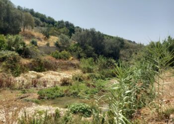 Scicli, al via i lavori di consolidamento degli argini del torrente in contrada Fontanelle