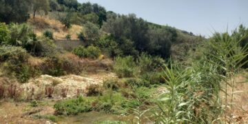 Scicli, al via i lavori di consolidamento degli argini del torrente in contrada Fontanelle
