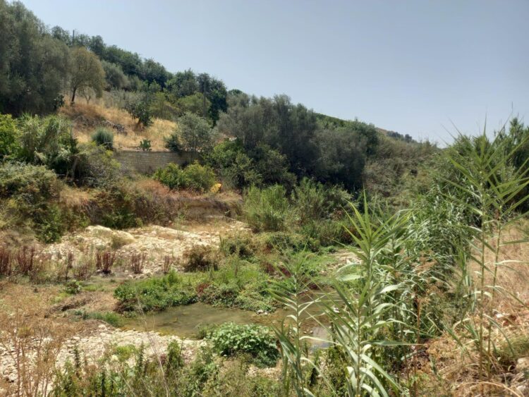 Scicli, al via i lavori di consolidamento degli argini del torrente in contrada Fontanelle