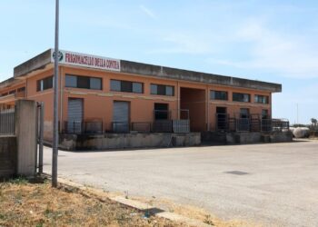 Macello comunale a Modica: “Il prefetto riunisca i soggetti che hanno titolo per fare ripartire l’attività”