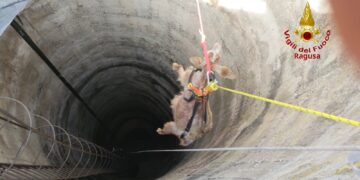 Capra finisce in un pozzo, salvata dai vigili del fuoco