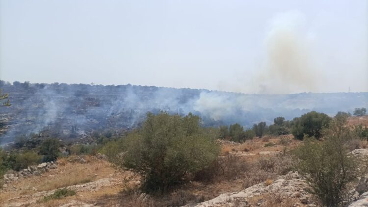 Vasto incendio in contrada Lanzagallo tra Ispica e Pozzallo