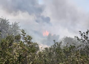Incendi a Vittoria, le fiamme stanno divorando la Valle dell’Ippari