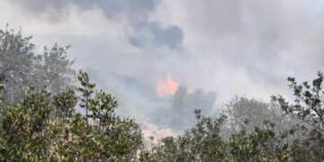 Incendi a Vittoria, le fiamme stanno divorando la Valle dell’Ippari
