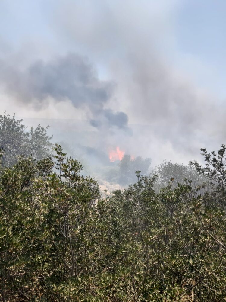 Incendi a Vittoria, le fiamme stanno divorando la Valle dell’Ippari