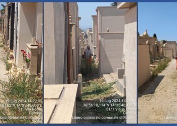 Cimitero comunale di Comiso, avviati i lavori di pulizia e scerbatura