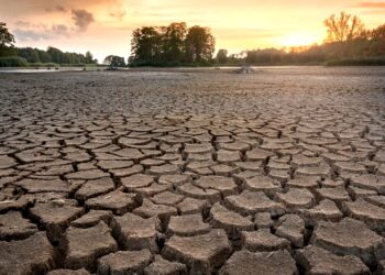Emergenza siccità nel Ragusano, Confagricoltura: “Se non si interviene subito, sarà un disastro”