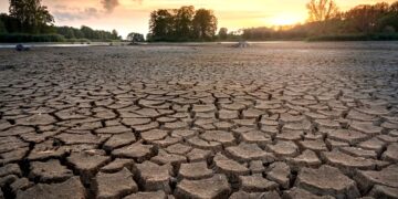 Emergenza siccità nel Ragusano, Confagricoltura: “Se non si interviene subito, sarà un disastro”