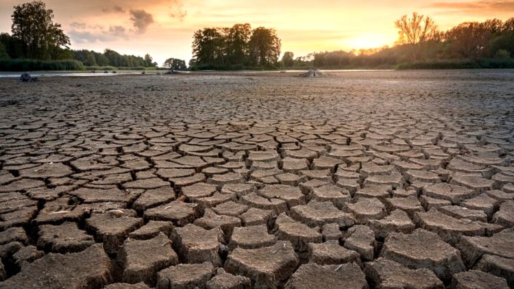 Emergenza siccità nel Ragusano, Confagricoltura: “Se non si interviene subito, sarà un disastro”