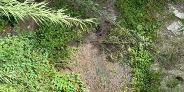 Chiaramonte e l’inquinamento del torrente Morana: “Situazione seria”