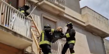 Modica e il caso del cane abbandonato, l’assessore Cannizzaro: “Viveva da sei mesi in una porzione del balcone”