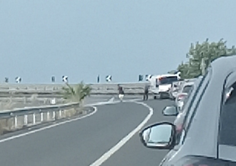 Un incidente stradale dopo l’altro in provincia di Ragusa: l’ultimo oggi pomeriggio. Gravi due centauri maltesi