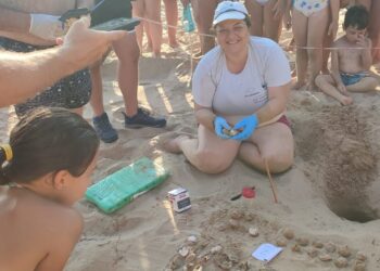 Ispica, la carica delle 101 tartarughine
