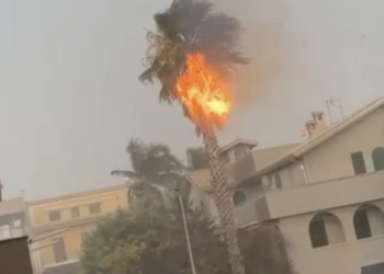 Maltempo in provincia di Ragusa, un fulmine colpisce una palma in pieno centro a Ispica