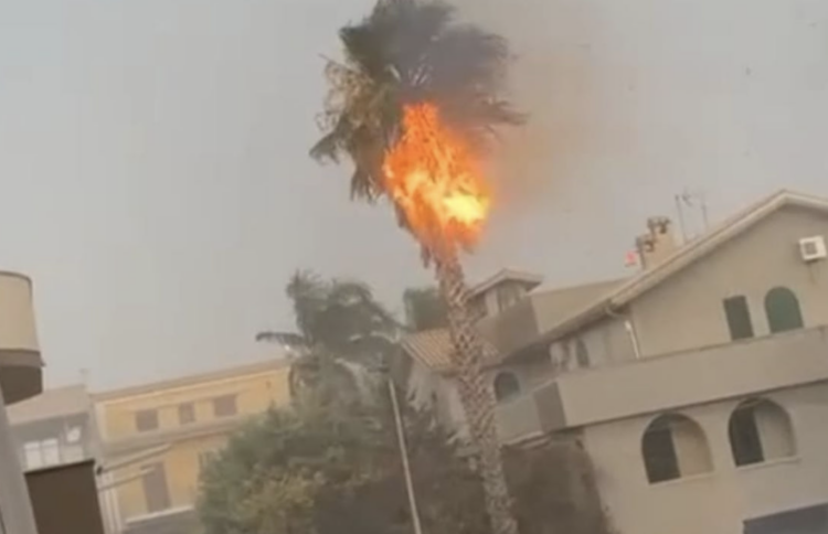 Maltempo in provincia di Ragusa, un fulmine colpisce una palma in pieno centro a Ispica