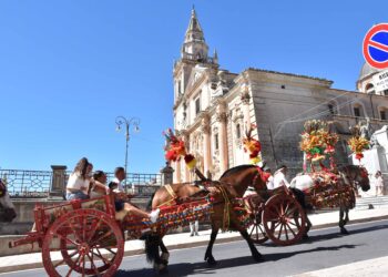 Ragusa, tutto pronto per la 32esima edizione del raduno del cavallo ibleo
