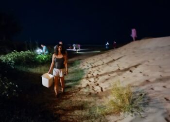 Donnalucata, prima schiusa delle uova di tartarughe marine lungo il litorale ibleo