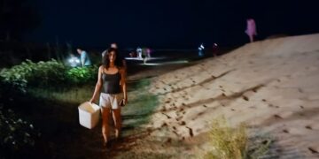 Donnalucata, prima schiusa delle uova di tartarughe marine lungo il litorale ibleo