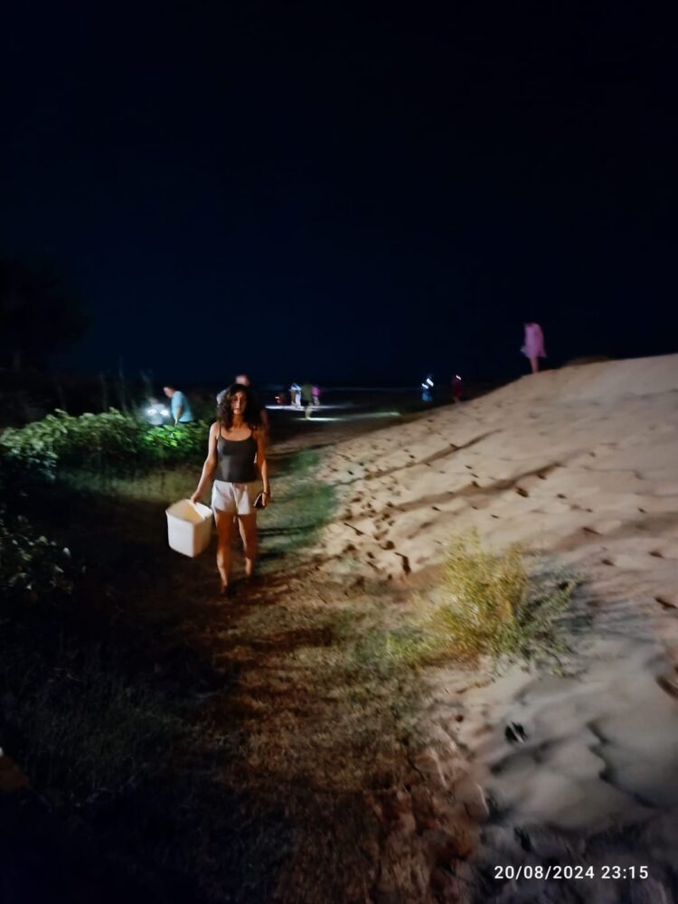 Donnalucata, prima schiusa delle uova di tartarughe marine lungo il litorale ibleo