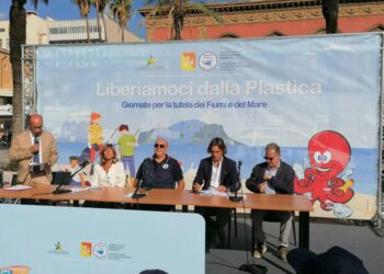 Barriere antiplastica per i fiumi Ippari, Dirillo e Irminio