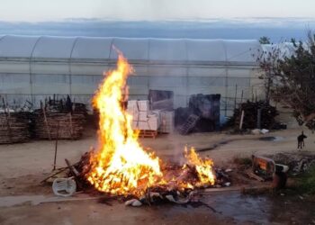 Santa Croce, individuata una fumarola: sanzionati i responsabili