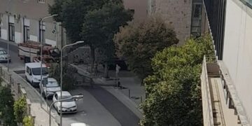 Ragusa, albero si sradica e cade sulla sede stradale in via Natalelli