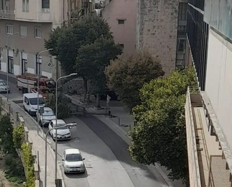 Ragusa, albero si sradica e cade sulla sede stradale in via Natalelli