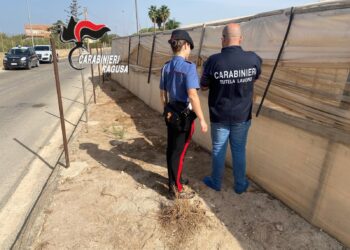 Ragusa, imprenditore di contrada Randello denunciato per avere impiegato lavoratori migranti senza alcun contratto di lavoro