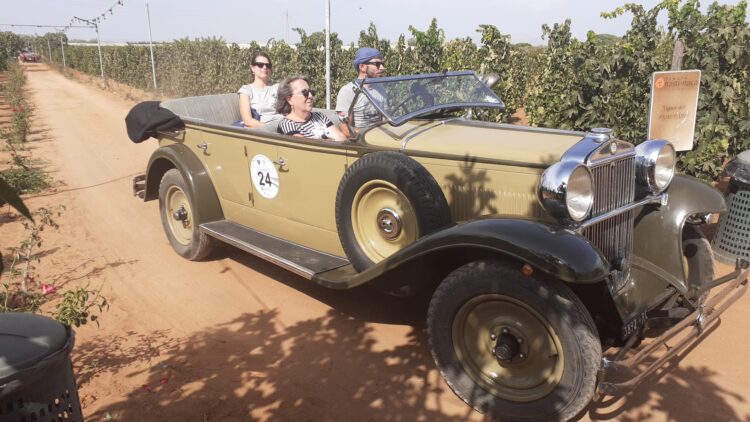 Autogiro della provincia di Ragusa, che fascino le quattro ruote d’epoca che sfrecciano tra i filari di viti