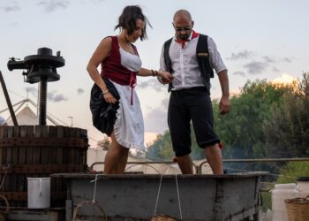 Pedalino, tutto pronto per la 36esima Sagra della vendemmia