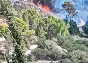 Vittoria, scoppia incendio a ridosso della Valle dell’Ippari