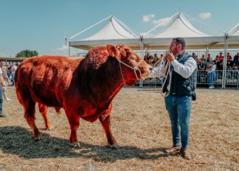 Fiera agroalimentare mediterranea, sarà l’assessore regionale Barbagallo a tagliare il nastro
