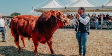 Fiera agroalimentare mediterranea, sarà l’assessore regionale Barbagallo a tagliare il nastro