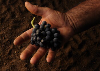 Pedalino, il Gal Valli del Golfo alla seconda edizione del Casmene fest