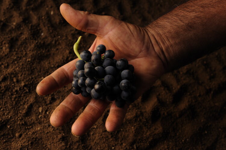 Pedalino, il Gal Valli del Golfo alla seconda edizione del Casmene fest