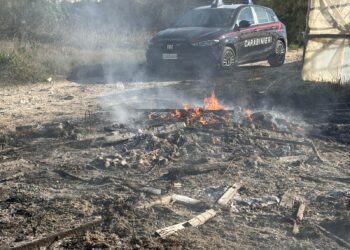 Scoglitti, prosegue l’attività di contrasto ai fenomeni criminali in materia ambientale