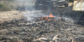 Scoglitti, prosegue l’attività di contrasto ai fenomeni criminali in materia ambientale