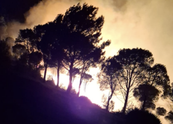 Monterosso Almo, grosso incendio boschivo sul monte Casasia