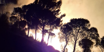 Monterosso Almo, grosso incendio boschivo sul monte Casasia