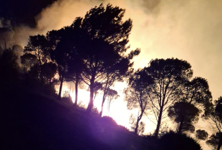 Monterosso Almo, grosso incendio boschivo sul monte Casasia