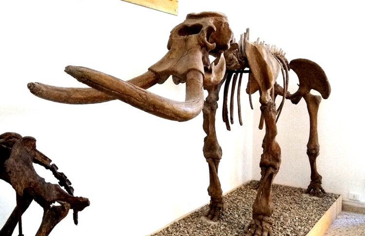 Comiso e la Giornata nazionale delle famiglie al museo