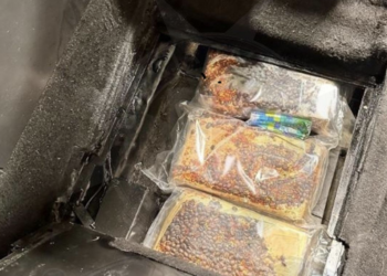 Una segretaria e un pizzaiolo ragusani sorpresi con 4 chili di cocaina nell’auto mentre da Malta si erano imbarcati sul catamarano per Pozzallo