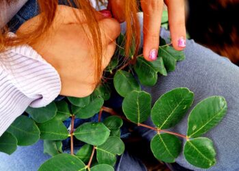 Ragusa e le corone di foglie realizzate dai ragazzi dell’Anffas onlus