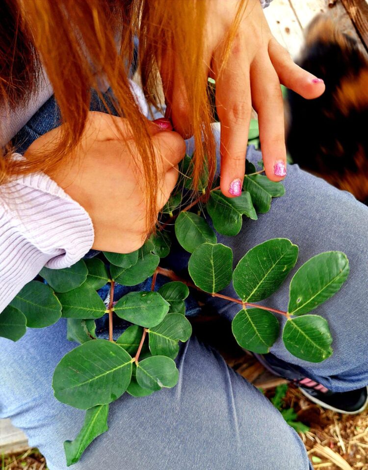 Ragusa e le corone di foglie realizzate dai ragazzi dell’Anffas onlus