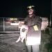 Ragusa, gattino inseguito da un cane sale su un palo e non riesce più a scendere