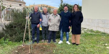 Modica, trenta alberi piantumati a Frigintini